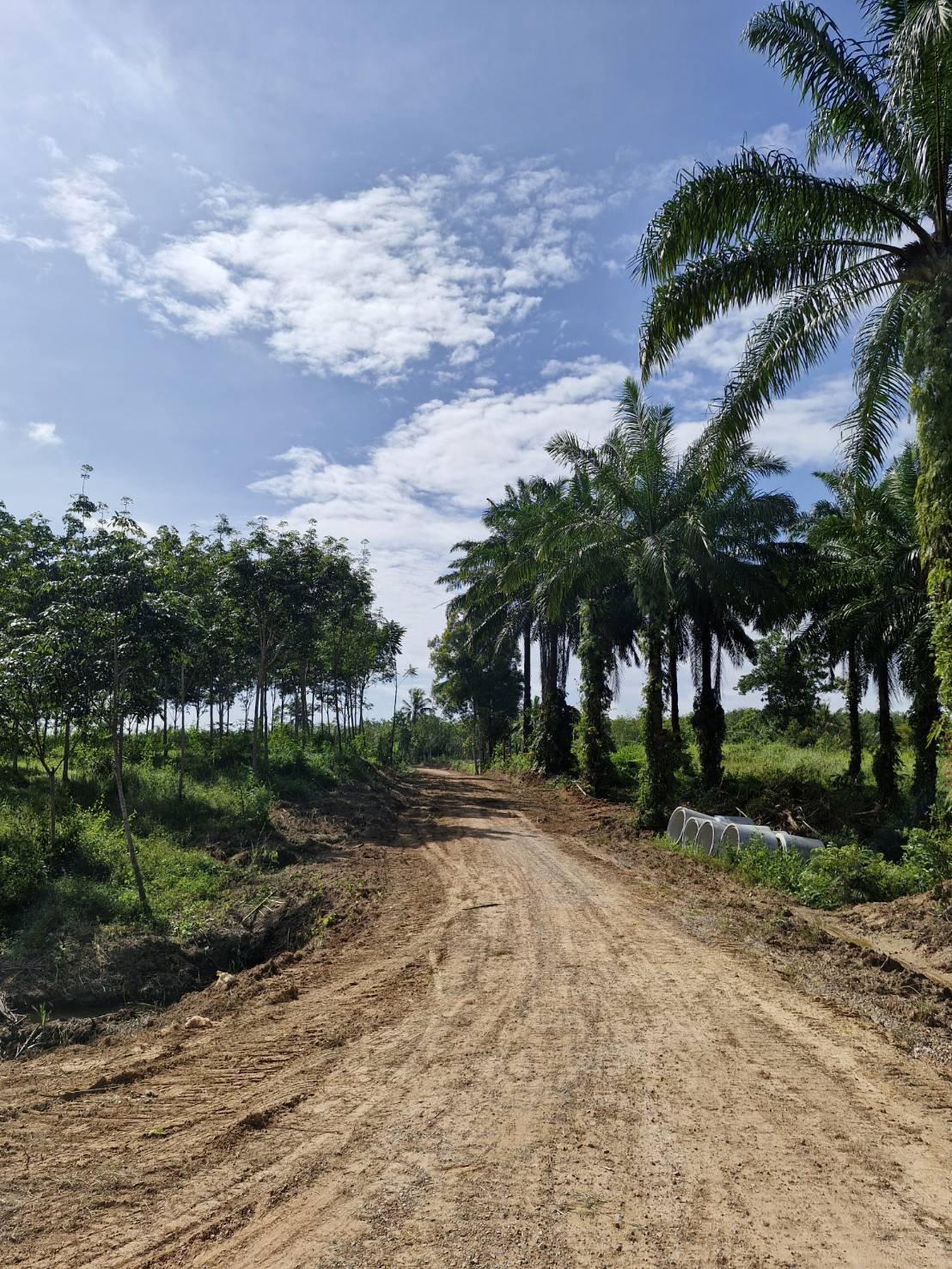 ตรวจติดตามการดำเนินงานโครงการก่อสร้างผิวจราจรแอสฟัลติกคอนกรีต  รหัสทางหลวงท้องถิ่น ตง.ถ.70-0010  ซอย 8 หมู่ที่ 1 บ้านบางสัก  ตำบลบางสัก อำเภอกันตัง จังหวัดตรัง